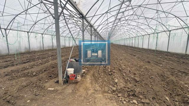 Plac, Prodaja, m2, Jagodina