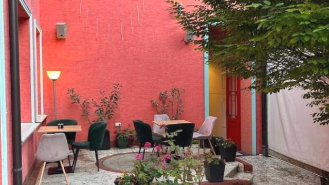 Kuća, Izdavanje, 500m2, Centar, Gradska lokacija, Petra Drapšina