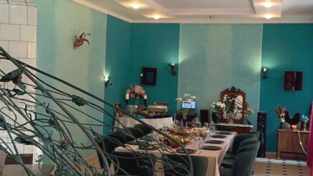 Kuća, Izdavanje, 500m2, Centar, Gradska lokacija, Petra Drapšina