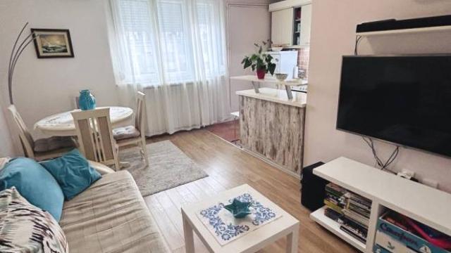 Stan, Jednoiposoban, Izdavanje, 37m2, Tadeuša Košćuška