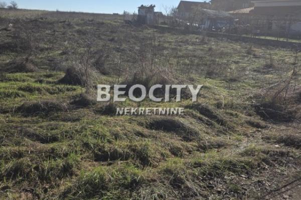 prodaja, plac,
ostruznica-cukarica-beograd, 1038603, prote-marka-25