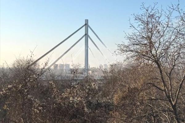 prodaja, plac,
ribnjak-petrovaradin-novi-sad, 1044406, ribnjak-gornji-put