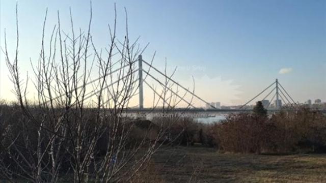 Plac, Prodaja, m2, Ribnjak, Petrovaradin, Ribnjak gornji put