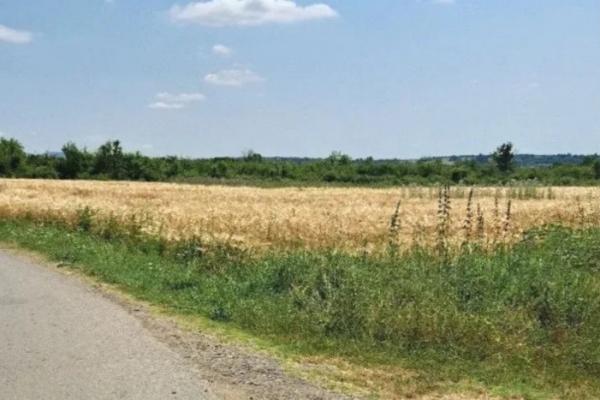 prodaja, plac,
veliki-borak-barajevo-beograd, 1046944, veliki-borak