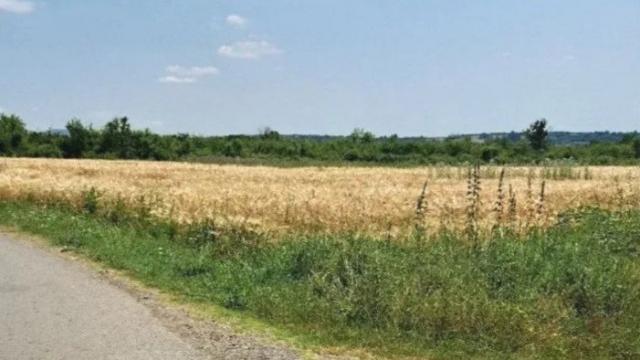 Plac, Prodaja, m2, Veliki Borak, Barajevo, Veliki Borak