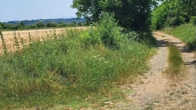 Plac, Prodaja, m2, Veliki Borak, Barajevo, Veliki Borak