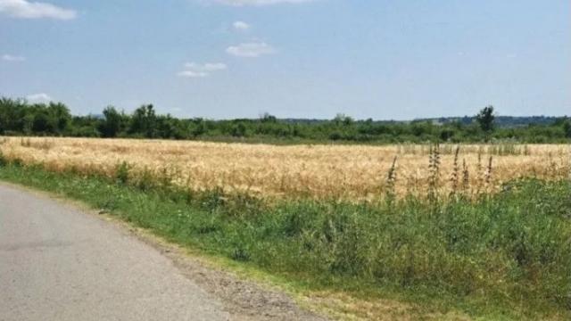 Plac, Prodaja, m2, Veliki Borak, Barajevo, Veliki Borak