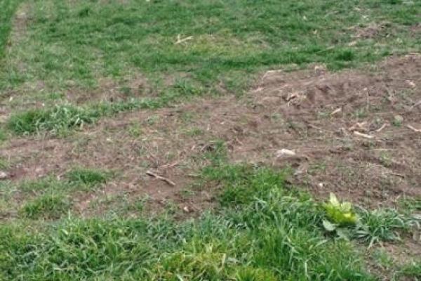 prodaja, plac,
ugrinovacka-zemun-beograd, 1048748, zemunska