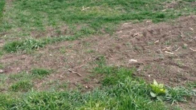 Plac, Prodaja, m2, Ugrinovci, Zemun, Zemunska