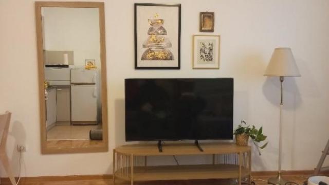 Stan, Jednosoban, Izdavanje, 45m2, Bulbulder, Zvezdara, Dimitrija Tucovića