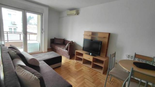 Stan, Dvosoban, Izdavanje, 40m2, Cerska