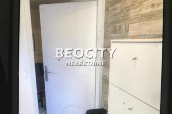 izdavanje, stanova,
crveni-krst-vracar-beograd, 1050122, jednosoban-raiceva