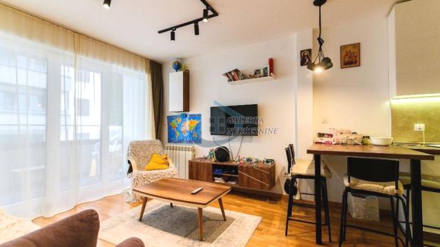 Stan, Dvosoban, Prodaja, 44m2, Višnjička Banja, Palilula, Mirka Milojkovića