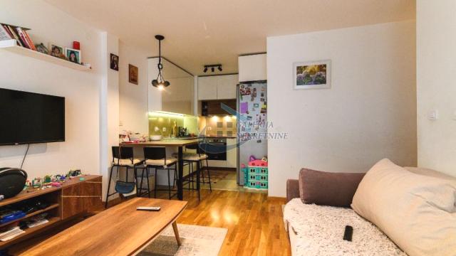 Stan, Dvosoban, Prodaja, 44m2, Višnjička Banja, Palilula, Mirka Milojkovića