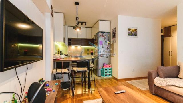 Stan, Dvosoban, Prodaja, 44m2, Višnjička Banja, Palilula, Mirka Milojkovića