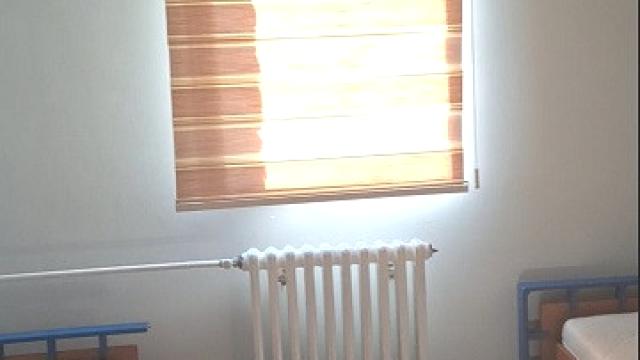 Soba, Izdavanje, 15m2, Galenika