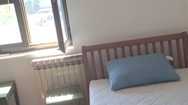 Soba, Izdavanje, 15m2, Galenika