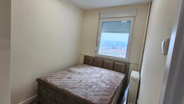 Stan, Jednoiposoban, Izdavanje, 49m2, Dorćol, Stari grad, Mike Alasa