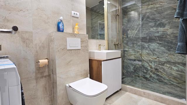 Stan, Jednoiposoban, Izdavanje, 49m2, Dorćol, Stari grad, Mike Alasa