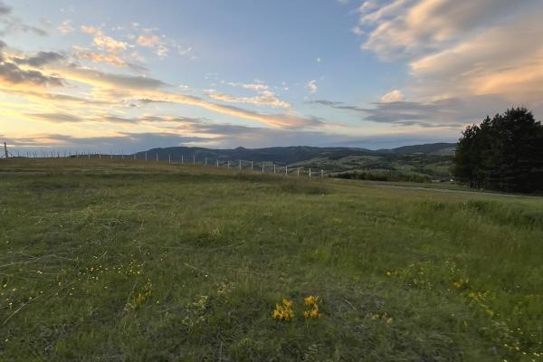 prodaja, plac,
ljutice-opstina-pozega, 1052626, ljutice