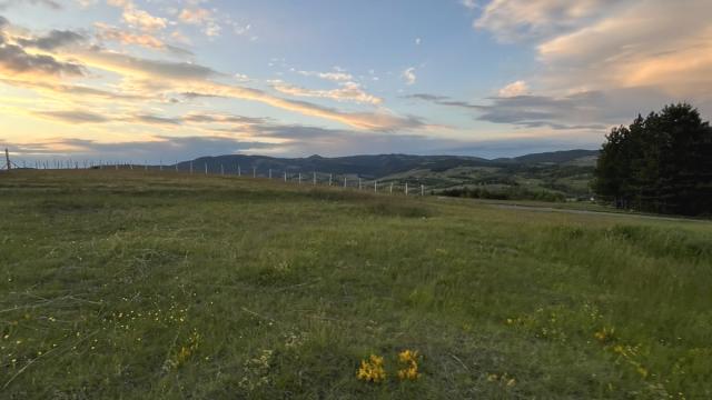 Plac, Prodaja, m2, Ljutice, Okolno mesto, Ljutice