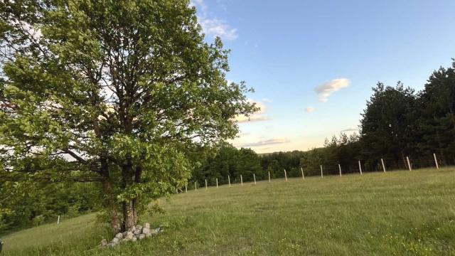 Plac, Prodaja, m2, Ljutice, Okolno mesto, Ljutice