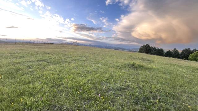 Plac, Prodaja, m2, Ljutice, Okolno mesto, Ljutice