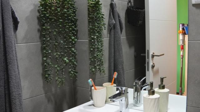 Stan, Troiposoban, Prodaja, 83m2, Djeram pijaca, Zvezdara, Dimitrija Tucovica