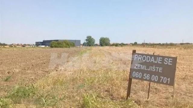 Plac, Prodaja, m2, Dobanovci, Surčin, Dobanovci