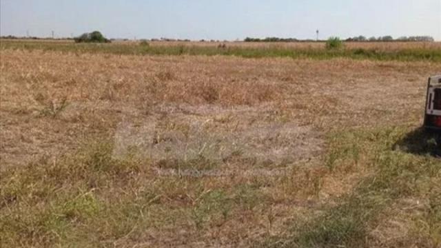 Plac, Prodaja, m2, Dobanovci, Surčin, Dobanovci