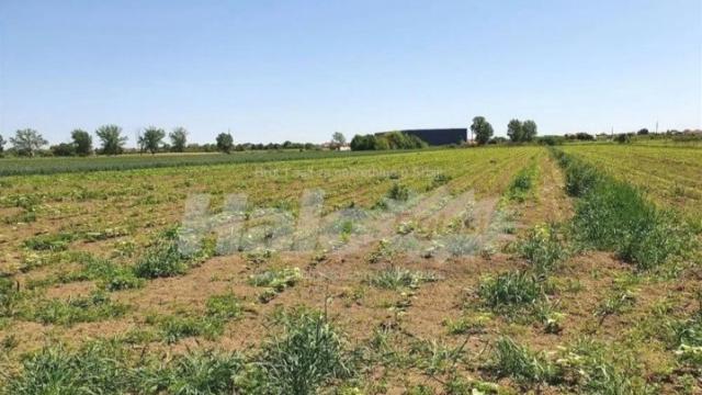 Plac, Prodaja, m2, Dobanovci, Surčin, Dobanovci