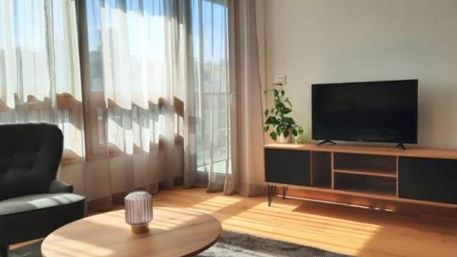 Stan, Dvosoban, Izdavanje, 56m2, Tadije Sondermajera