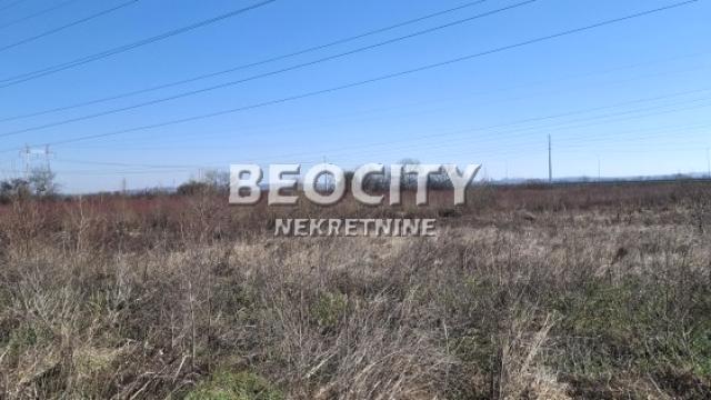 Plac, Prodaja, 54m2, Surčin (mesto), Surčin, Vinogradska