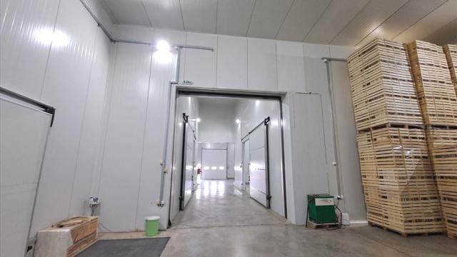 Poslovni prostor, Jednosoban, Izdavanje, 1000m2, Viljuša, Okolno mesto, Potes Pljosta 8a