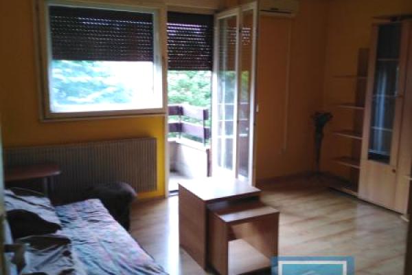 izdavanje, stanova,
sarina-medja-grad-jagodina, 1059888, dvosoban