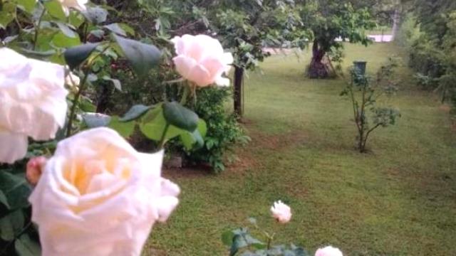 Kuća, Prodaja, 341m2, Grocka (mesto), Grocka, Bulevar revolucije