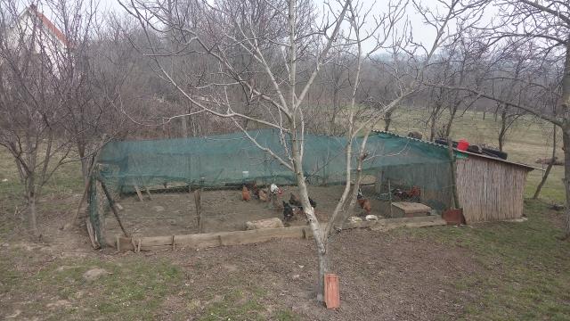 Kuća, Petosoban i veći, Prodaja, 180m2, radoja joksica 16b