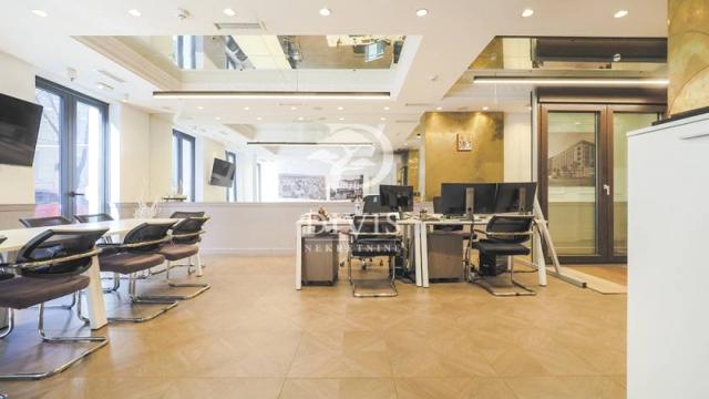 Poslovni prostor, Trosoban, Izdavanje, 117m2, Strahinjića Bana