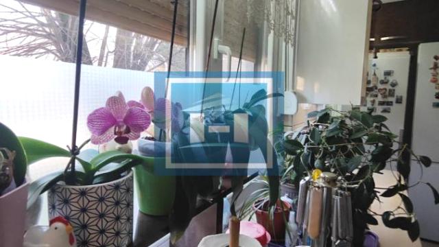 Stan, Jednoiposoban, Prodaja, 42m2, Centar, Gradska lokacija, Jagodina