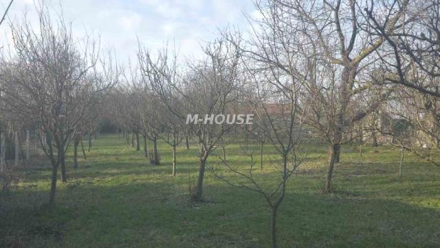 Kuća, Jednosoban, Prodaja, 55m2, Josićko naselje, Gradska lokacija, Sombor