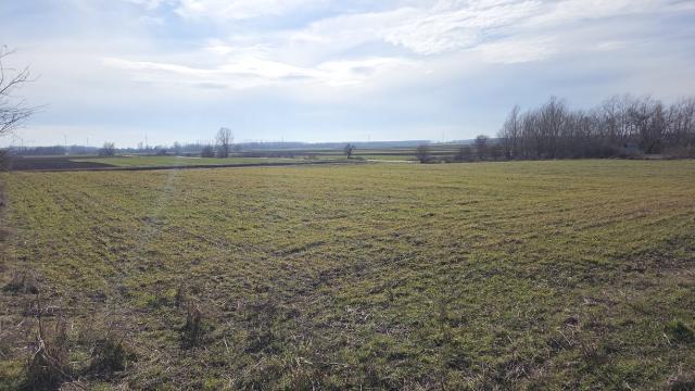 Plac, Prodaja, m2, Ostrovo, Kostolac, Ostrovo