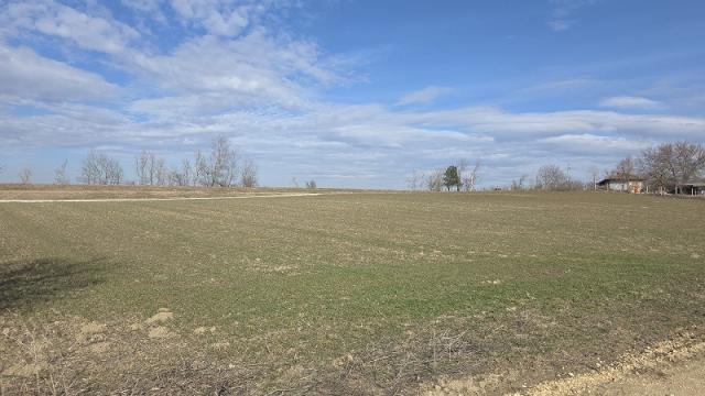 Plac, Prodaja, m2, Ostrovo, Kostolac, Ostrovo