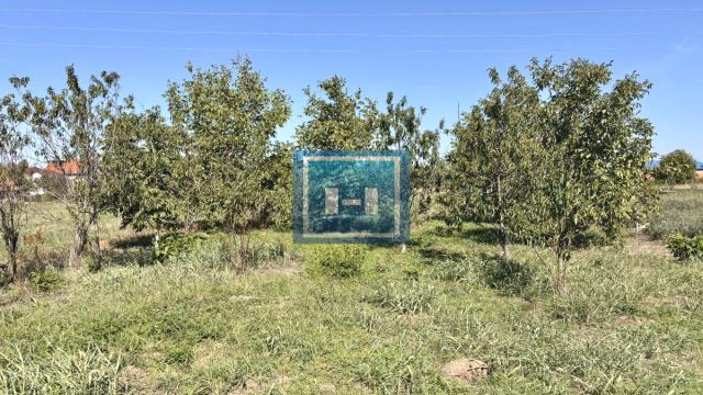 Kuća, četvorosoban, Prodaja, 77m2, Kolonija, Gradska lokacija, Jagodina