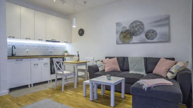 Stan, Jednoiposoban, Izdavanje, 31m2, Dragačevska