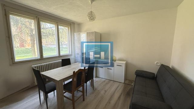 Stan, Garsonjera, Izdavanje, 22m2, Sarina Medja, Gradska lokacija, Jagodina