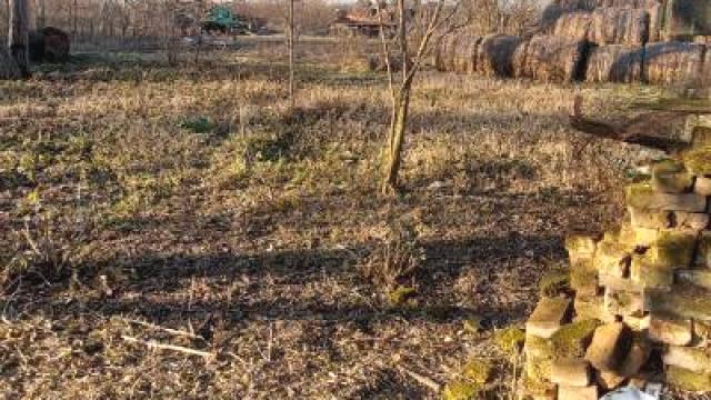 Plac, Prodaja, m2, Lipe, Okolno mesto, Marsala Tita