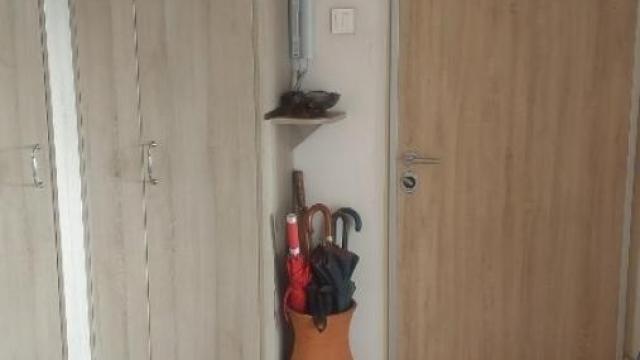 Stan, Dvosoban, Izdavanje, 64m2, Kej, Zemun, Kej oslobođenja