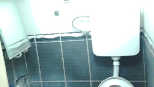 Stan, Jednoiposoban, Prodaja, 30m2, Galenika, Zemun, Vere Dimitrijević