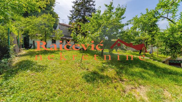 Kuća, Prodaja, 300m2, Dedinje, Savski venac, Rajka Mitica