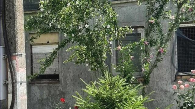 Kuća, Trosoban, Prodaja, 60m2, Debeljača, Okolno mesto, Debeljaca